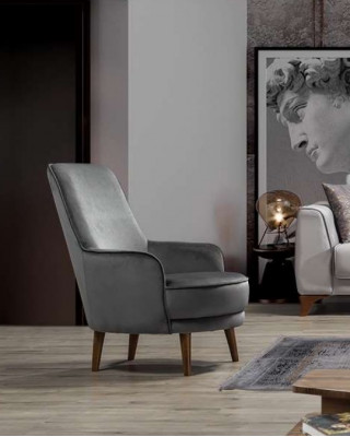 Zetel Stoel Modern Design Woonkamer Bekleed Eenzitter Relax Grijs Stijl Luxe