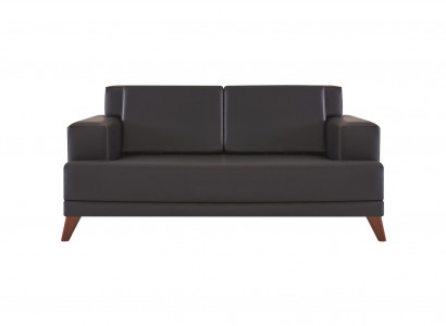 Bank Leren 2-Zits Sofa Zwart Effen Modern Design Leren Bank Hout